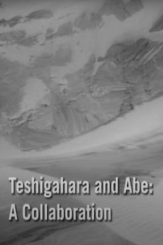 Teshigahara and Abe poster
