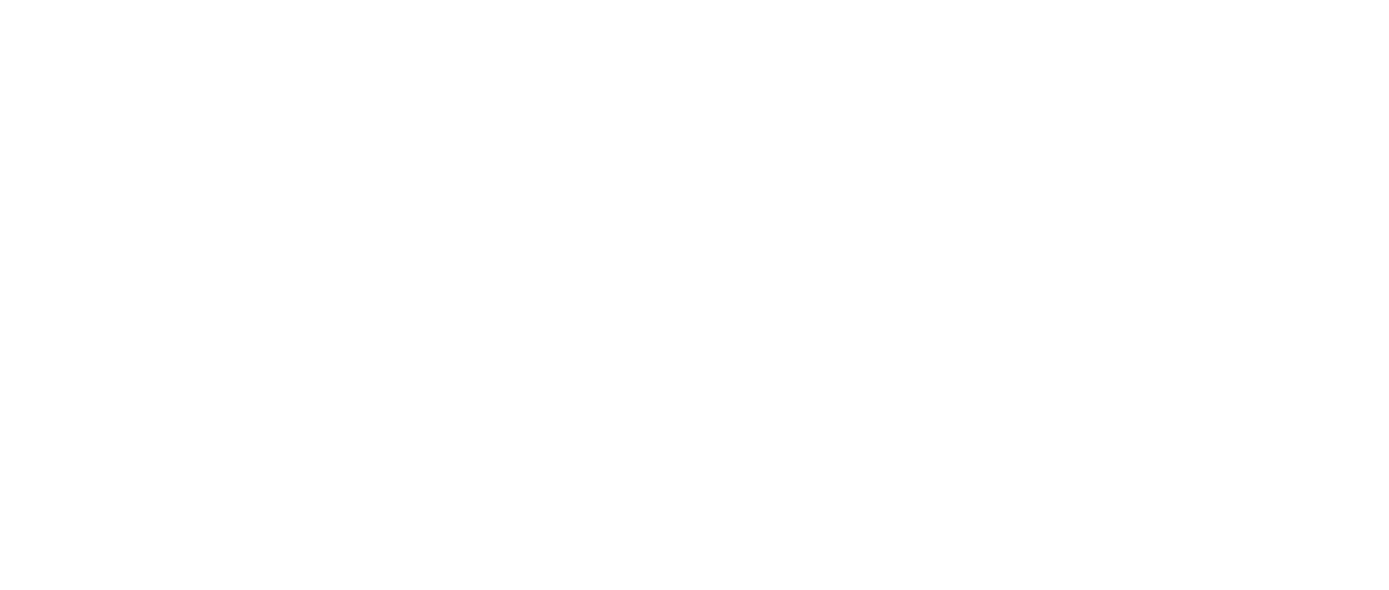Polis Evo 3 logo