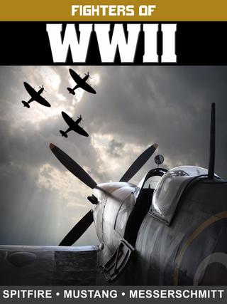 Fighters of WWII: Spitfire, Mustang, and Messerschmitt poster