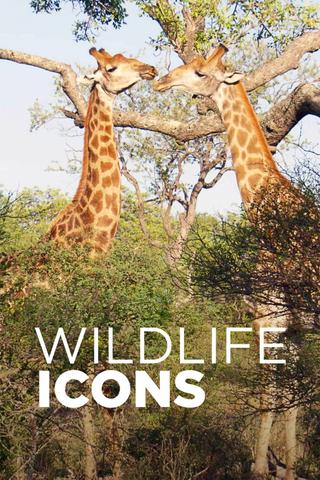 Wildlife Icons poster