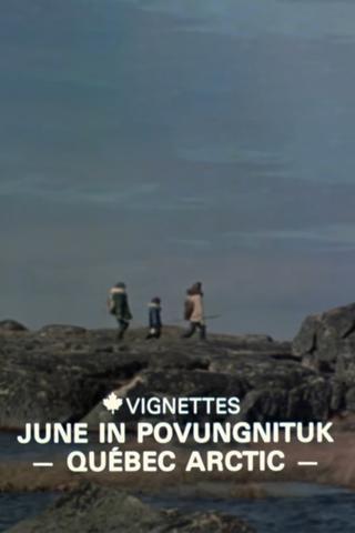 Canada Vignettes: June in Povungnituk - Quebec Arctic poster