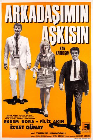 Arkadaşımın Aşkısın poster