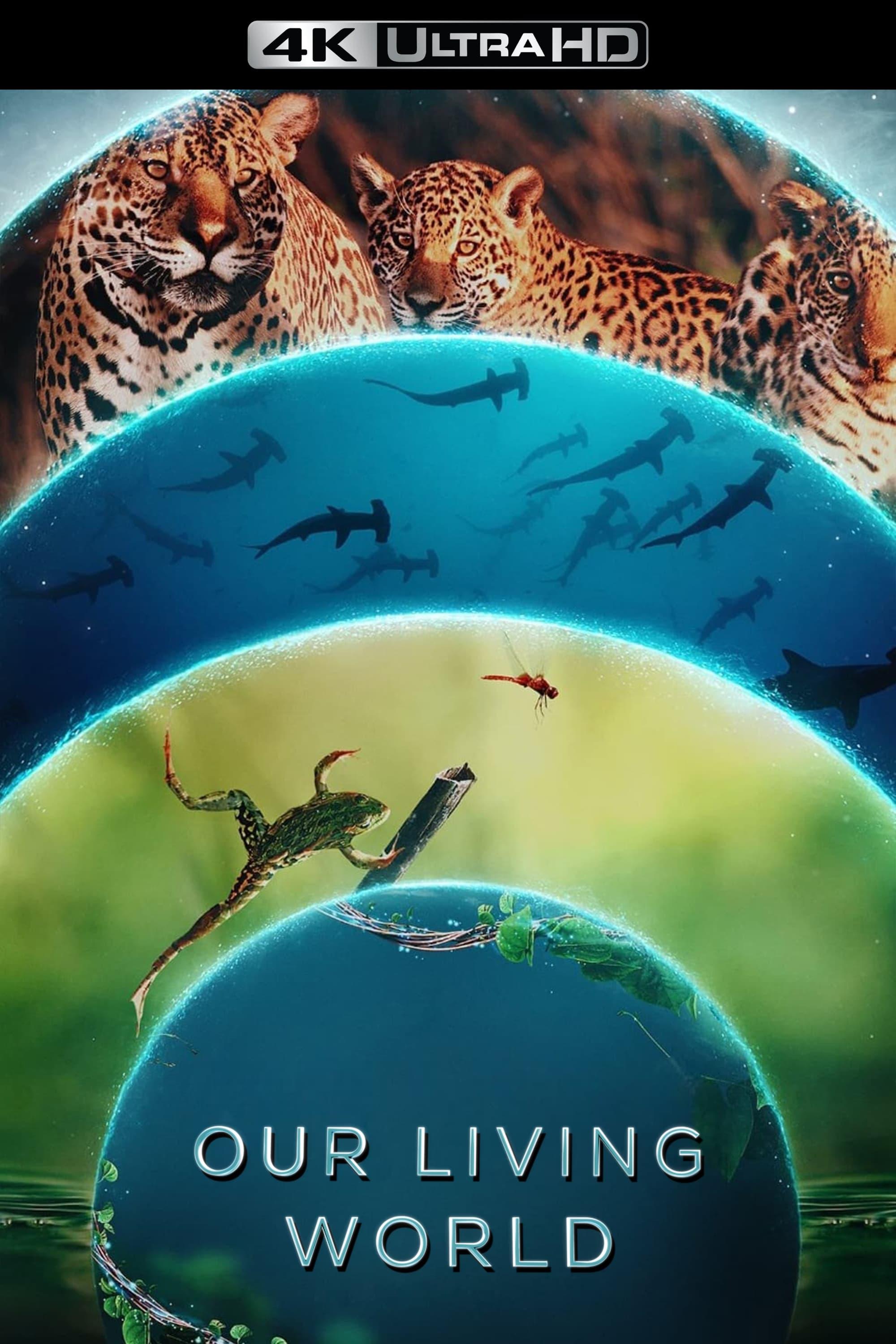 Our Living World poster