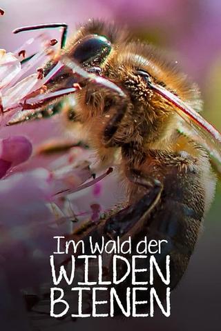 Im Wald der wilden Bienen poster