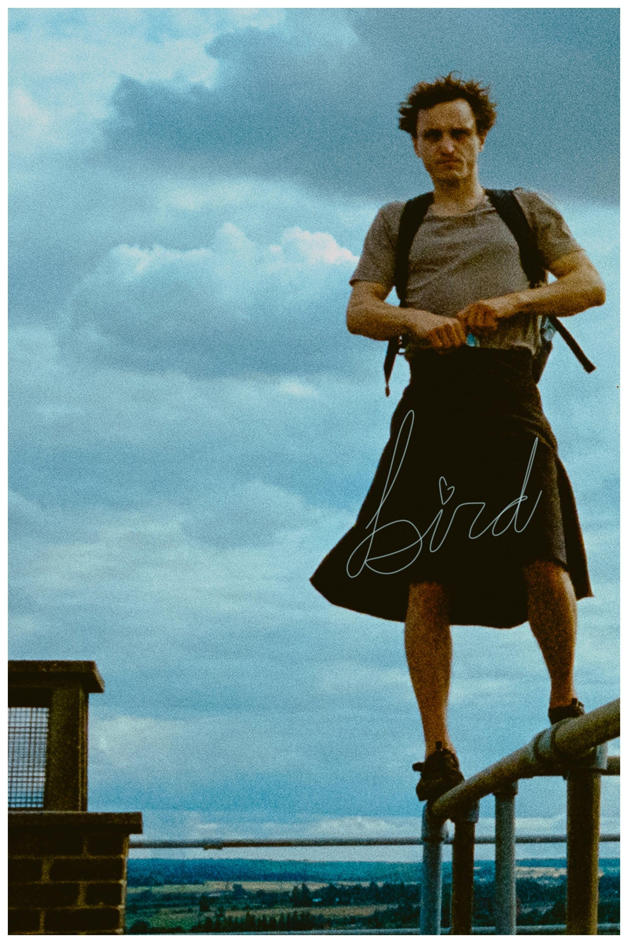 Bird poster