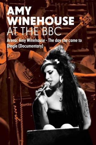 Amy Winehouse: The Day She Came to Dingle poster