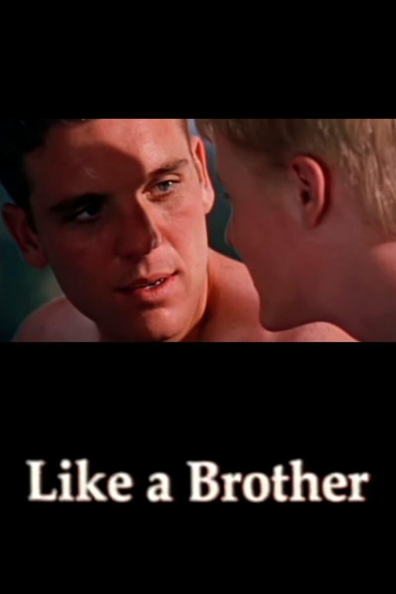 Like a Brother poster