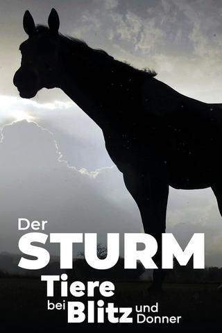 Der Sturm - Tiere bei Blitz und Donner poster