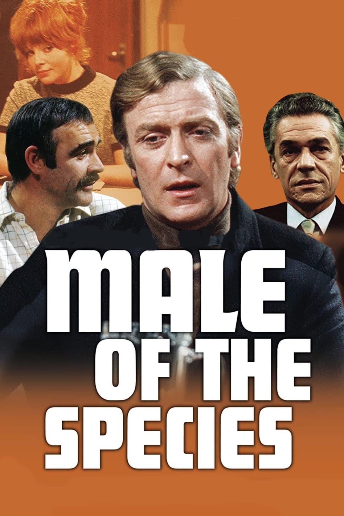 Male of the Species poster