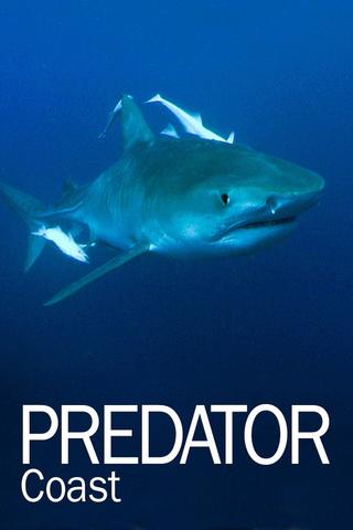 Predator Coast poster