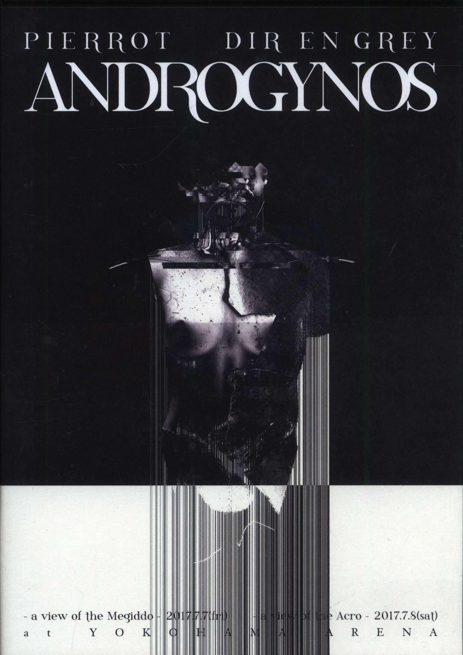 Androgynos poster