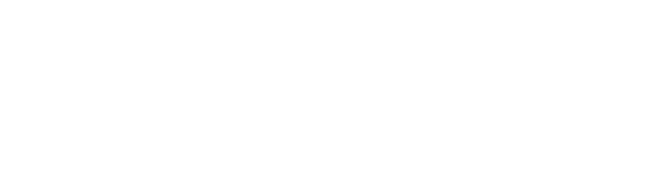 The Twins Effect logo