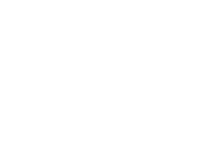 Illegal Woman logo