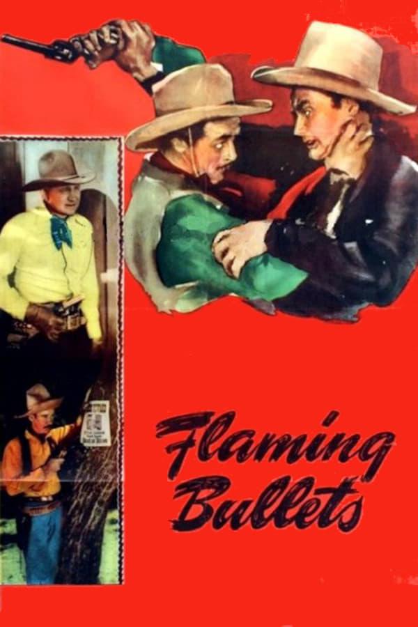 Flaming Bullets poster