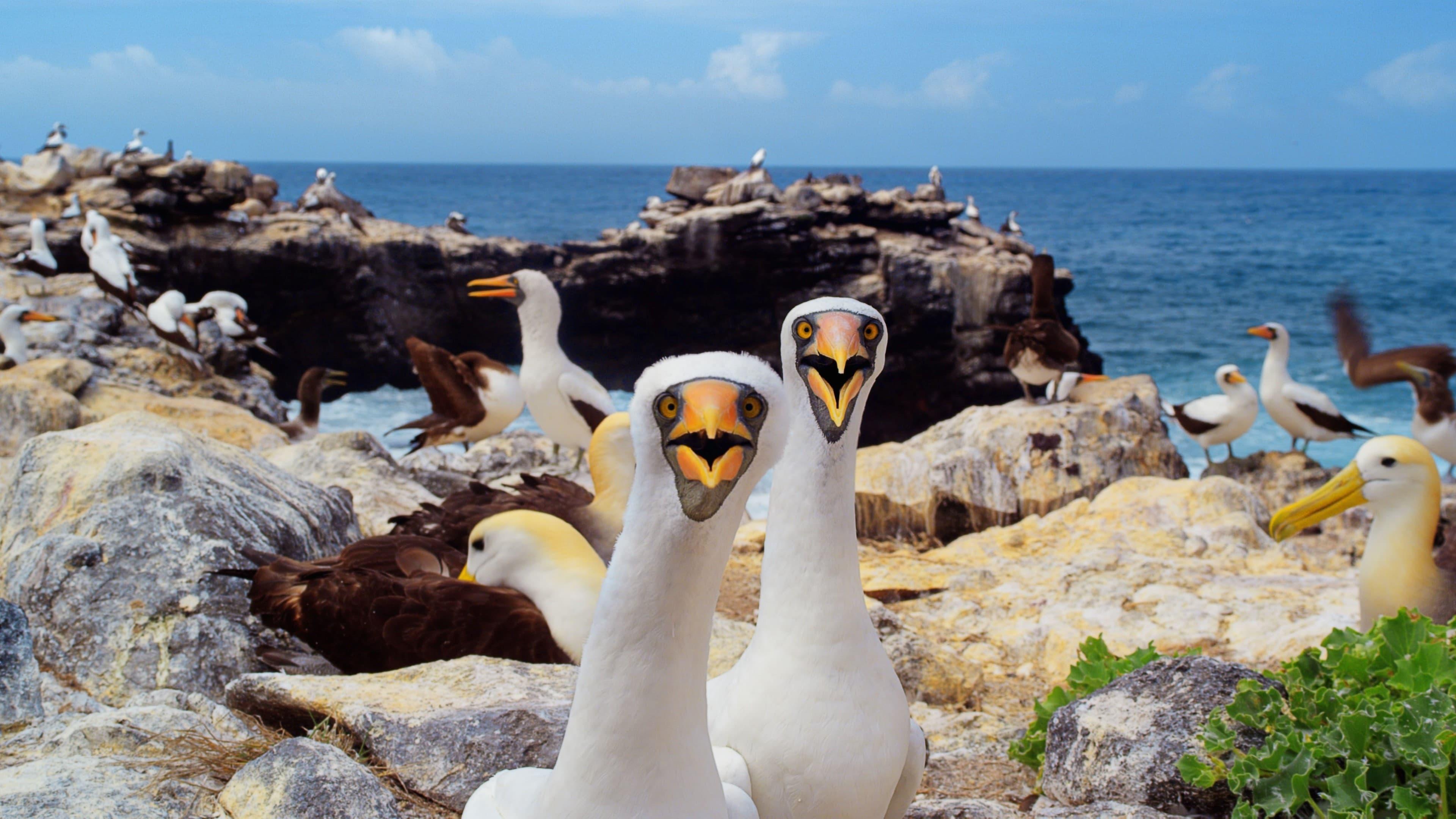 Galapagos 3D with David Attenborough backdrop