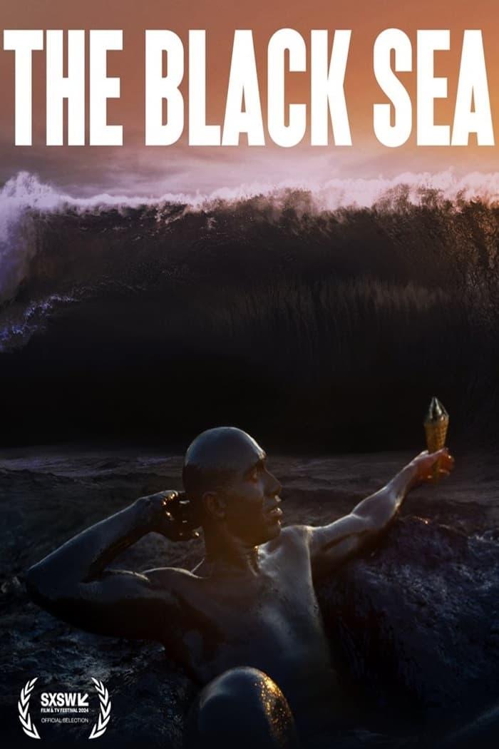 The Black Sea poster