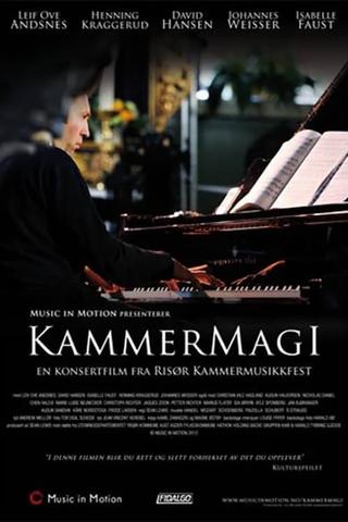 Kammermagi poster