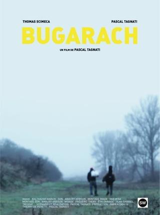 Bugarach poster