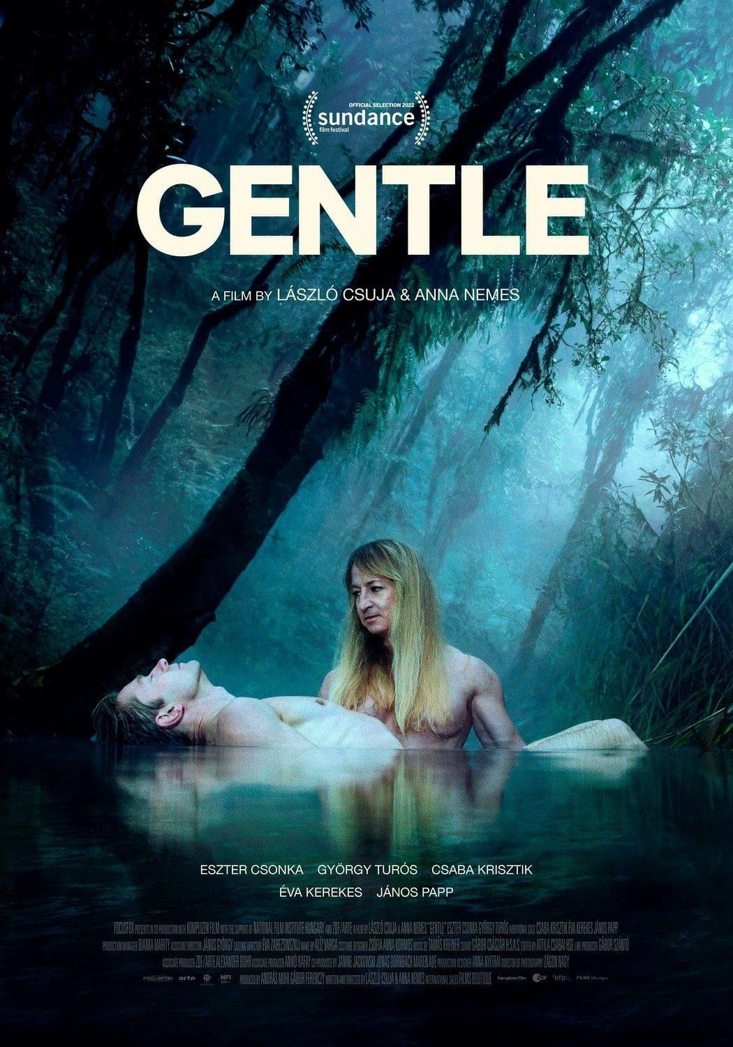Gentle poster
