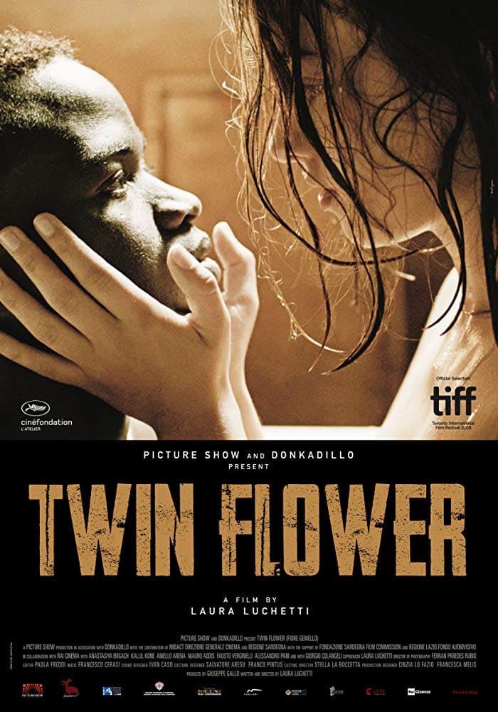Twin Flower poster