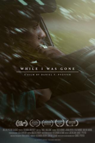 While I Was Gone poster