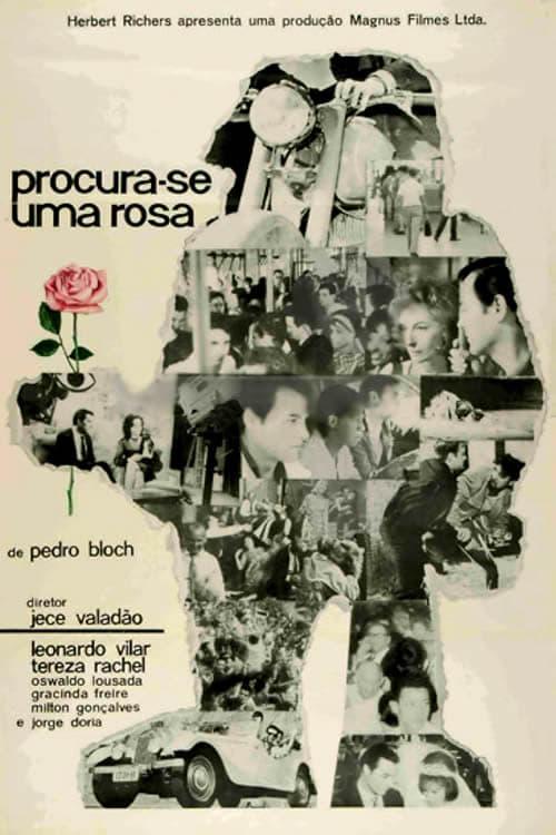 Procura-se Uma Rosa poster