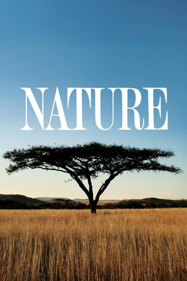 Nature poster