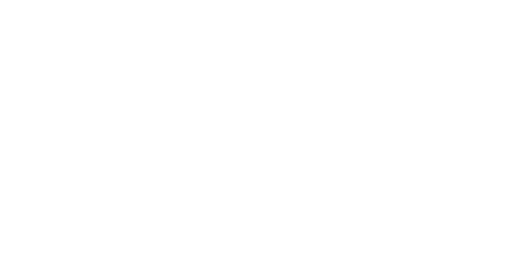 The Cosmic Secret logo
