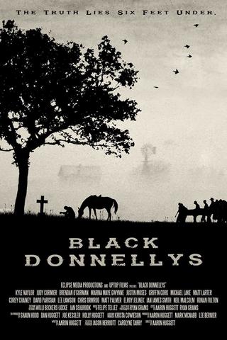 Black Donnellys poster