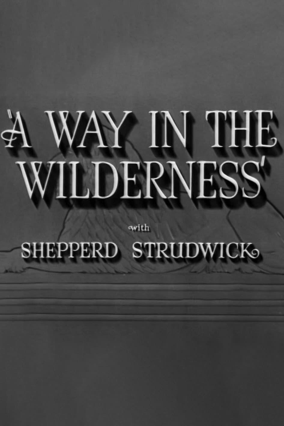 A Way in the Wilderness poster