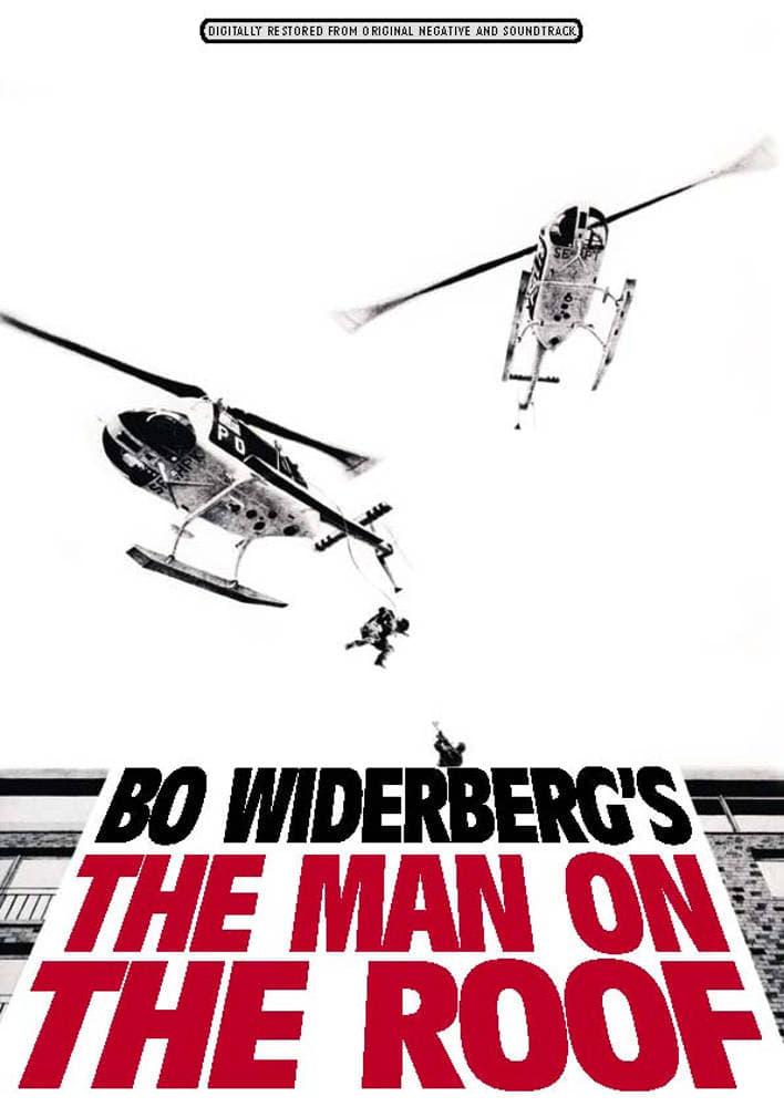 Man on the Roof poster