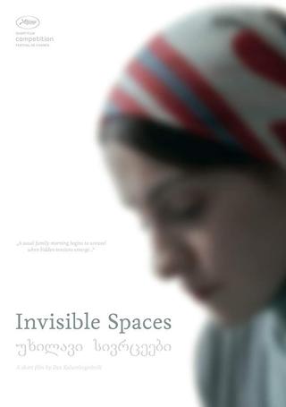 Invisible Spaces poster