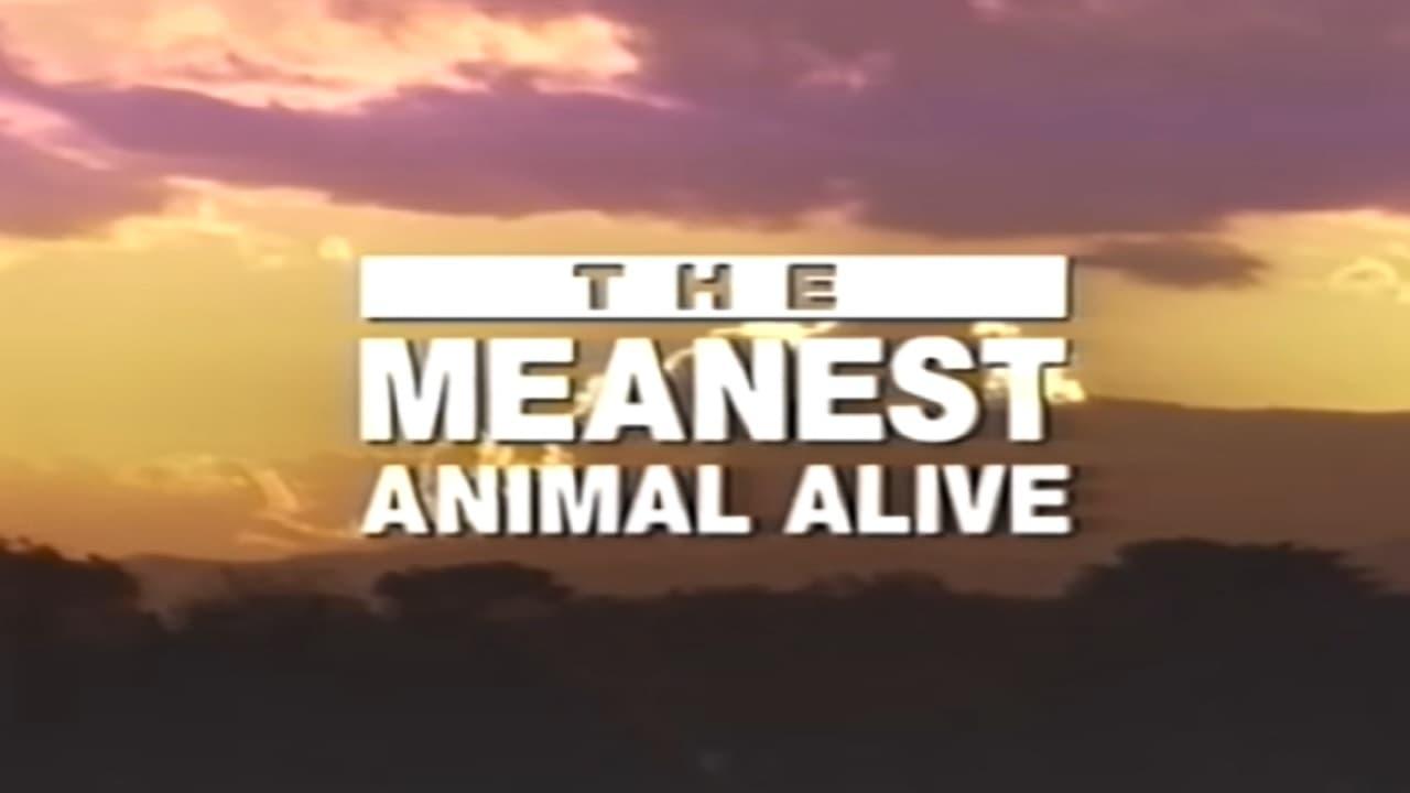 Time Life Animal Oddities: The Meanest Animal Alive backdrop