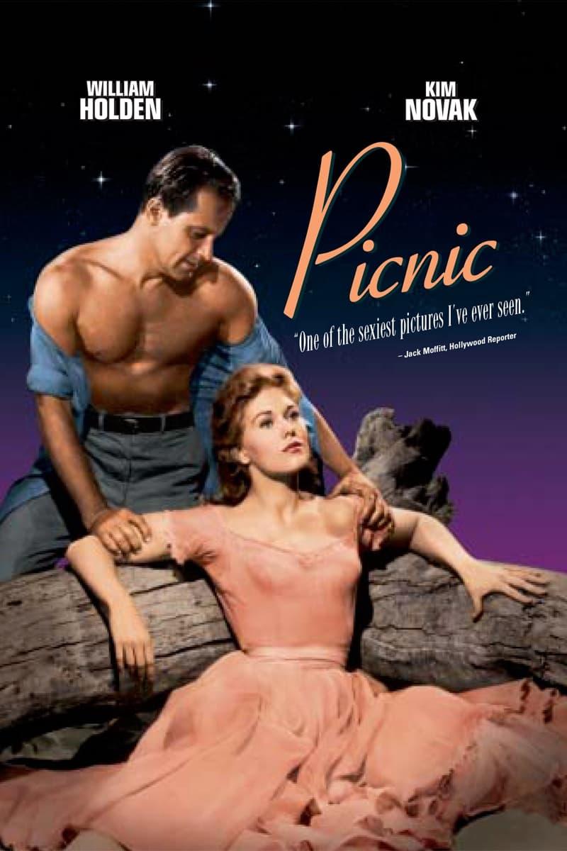 Picnic poster