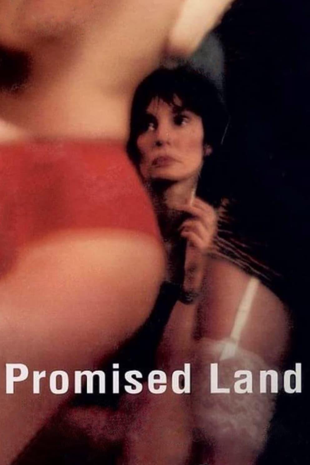 Promised Land poster