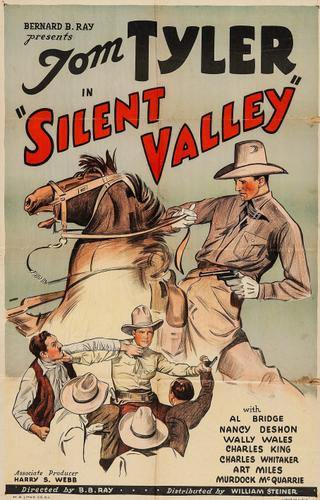 Silent Valley poster