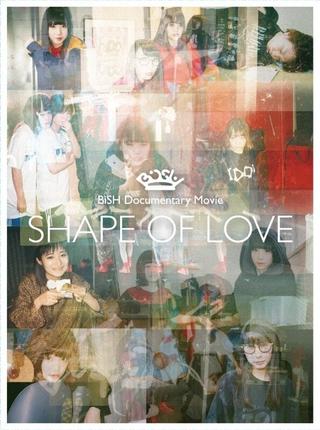 Shape of Love poster