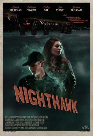 Nighthawk poster