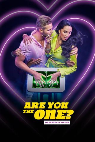 Are You The One? De Perfecte Match poster