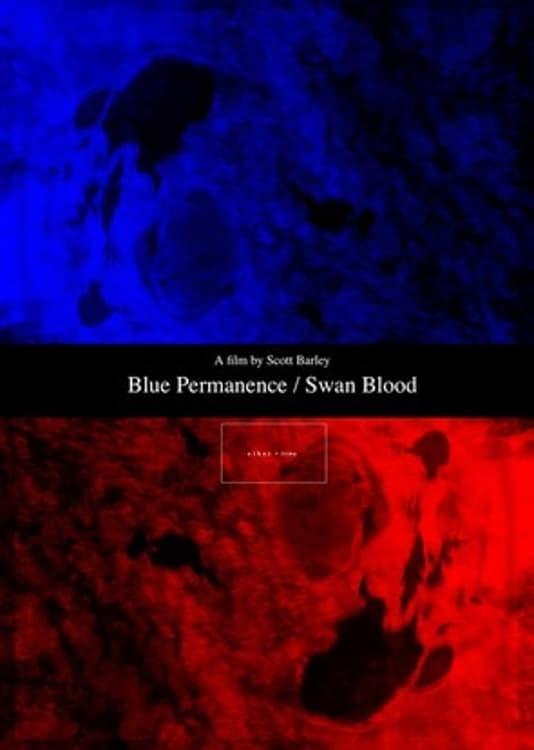 Blue Permanence / Swan Blood poster