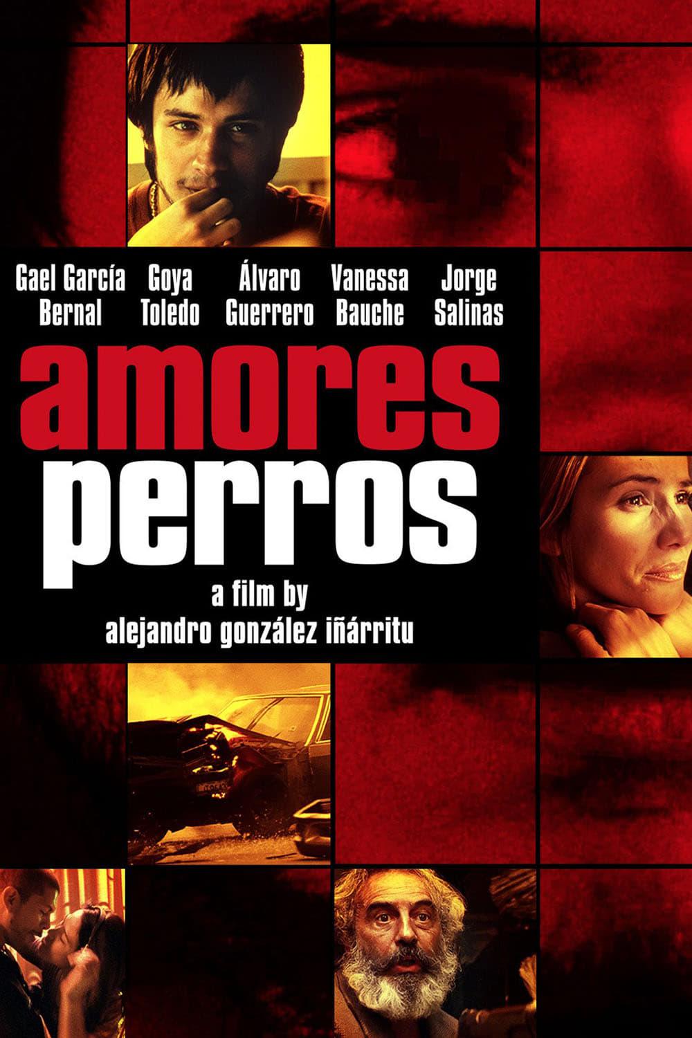 Amores Perros poster