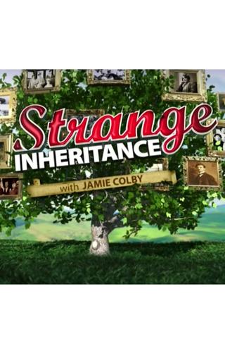 Strange Inheritance poster