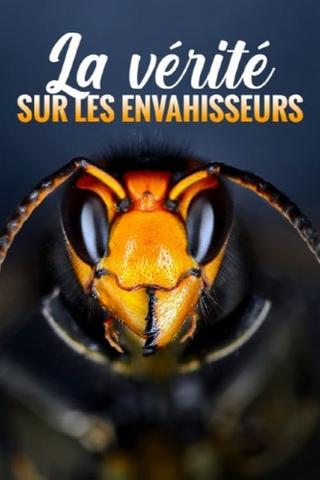 La vérité sur les envahisseurs poster