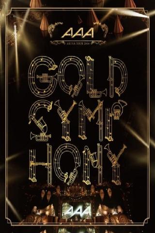 AAA Arena Tour 2014 -Gold Symphony- poster