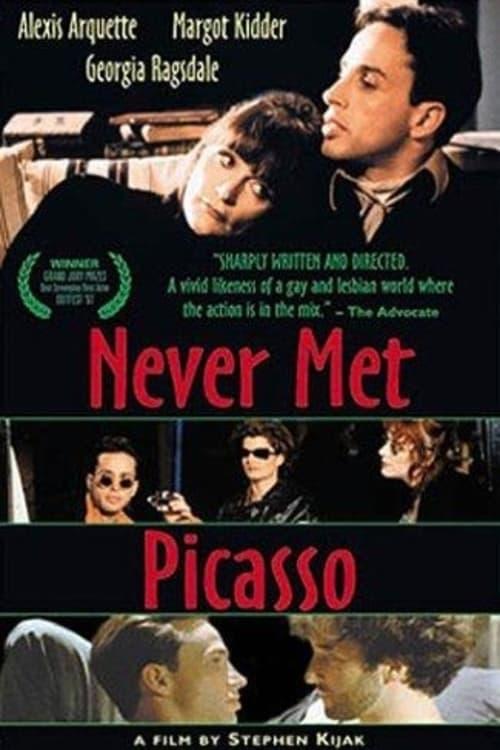 Never Met Picasso poster