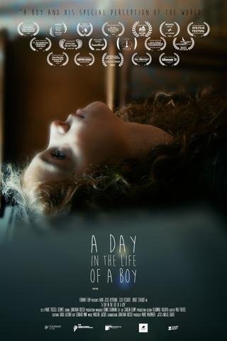 A Day in the Life of a Boy poster