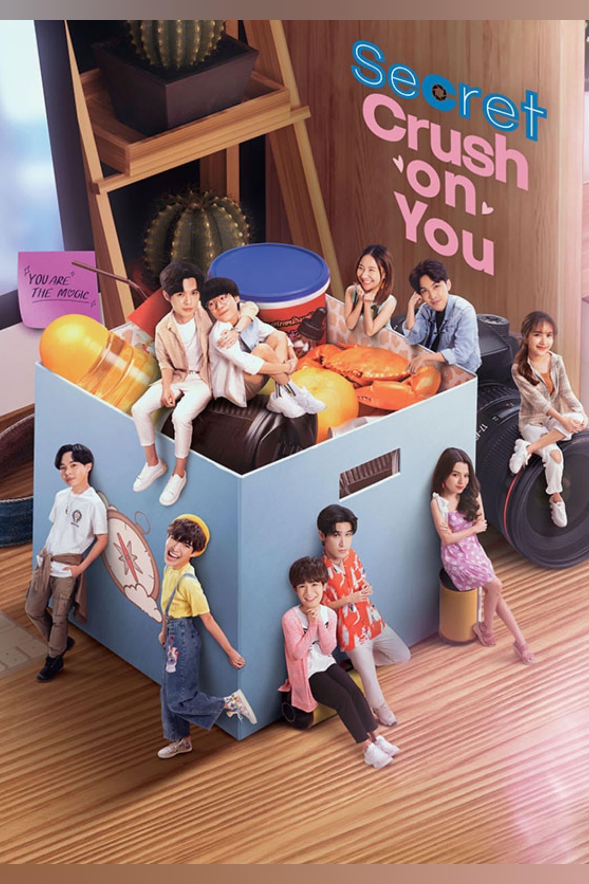 Secret Crush On You poster