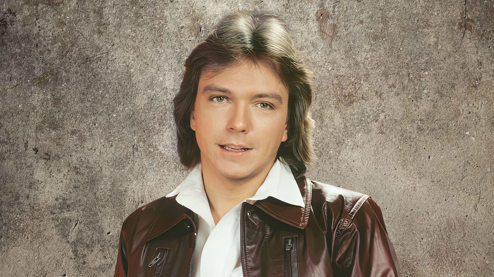 David Cassidy: Man Under Cover backdrop