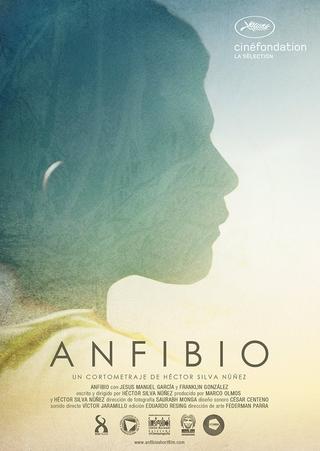 Anfibio poster