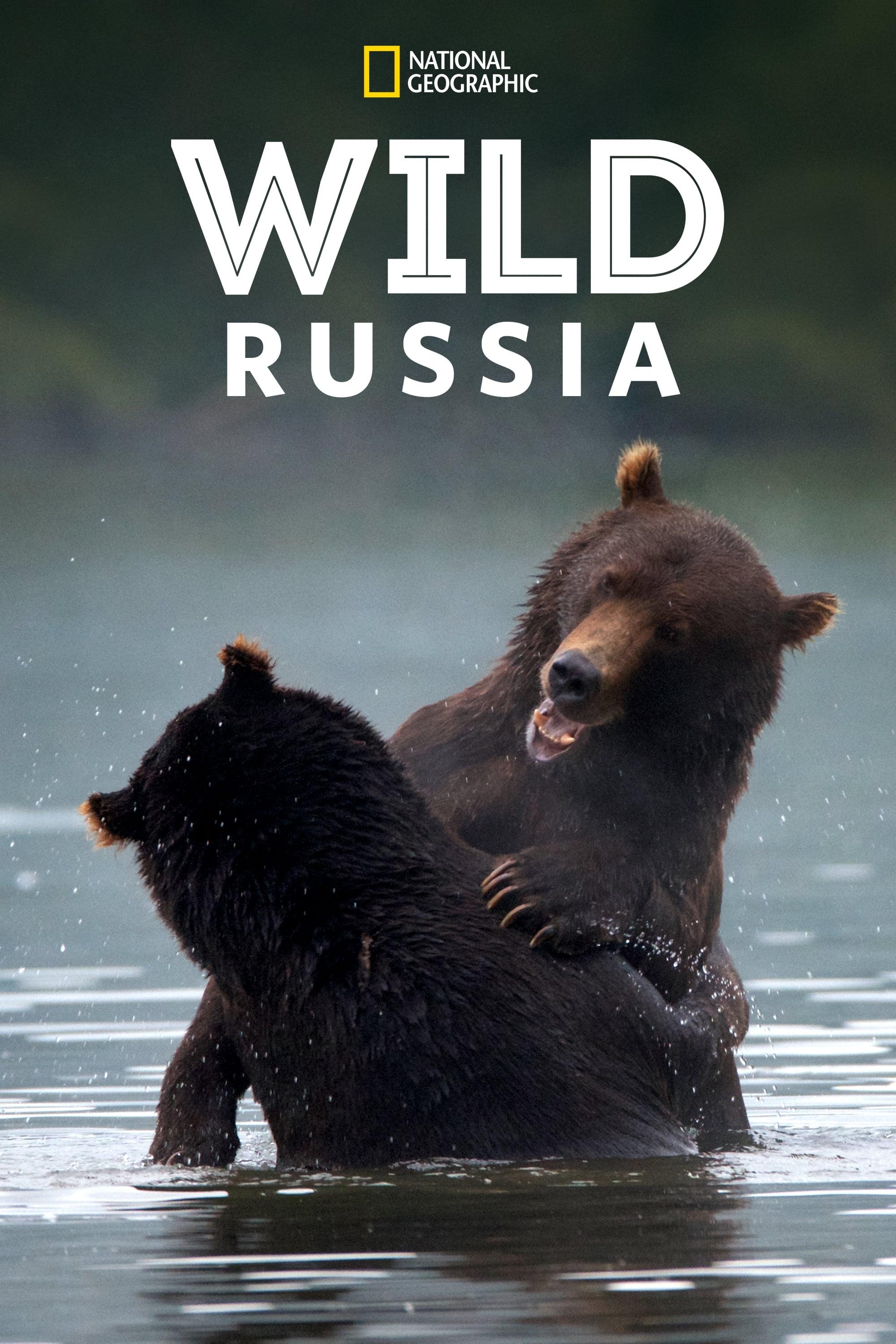 Wild Russia poster